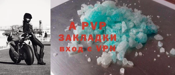 a pvp Пересвет