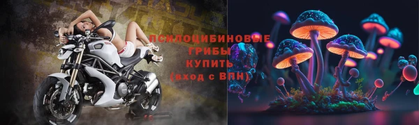 a pvp Пересвет