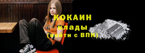 a pvp Пересвет