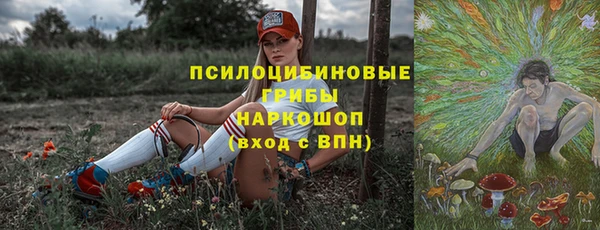 mdpv Переславль-Залесский
