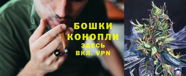 a pvp Пересвет
