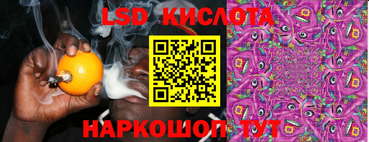 МЕФ Александров