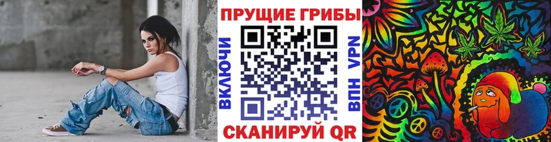 Галлюциногенные грибы Psilocybe  OMG как войти  Александров 