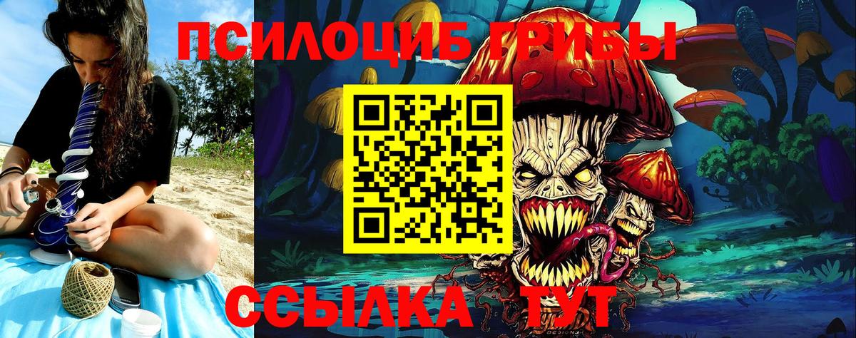 Александров  Псилоцибиновые грибы ЛСД  Вход с VPN 